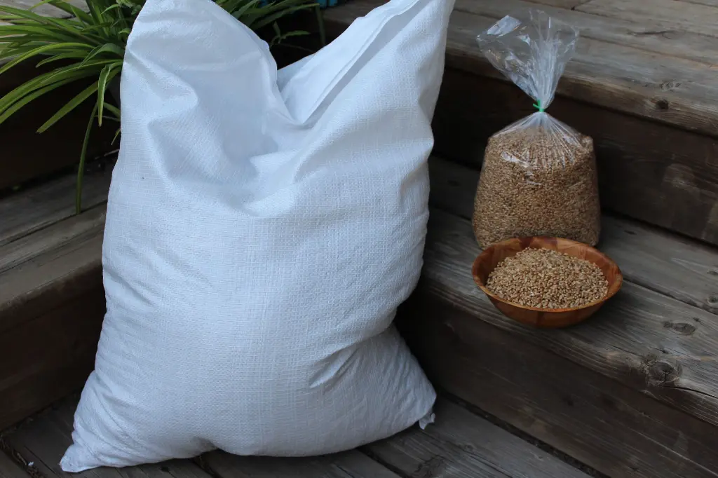Wheat Berry Bag.webp