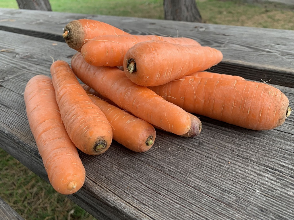 [KWNF-0132] Carrots