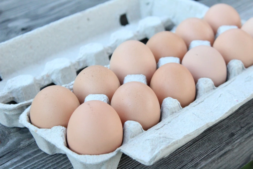 [KWNF-0137] Free-Run Brown Eggs