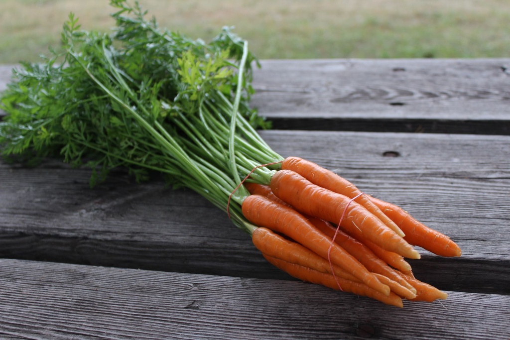 [KWNF-0138] Carrot Bundles