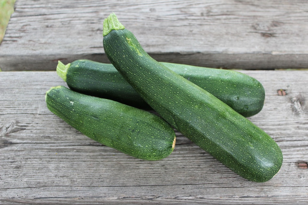 [KWNF-0162] Zucchini (small)