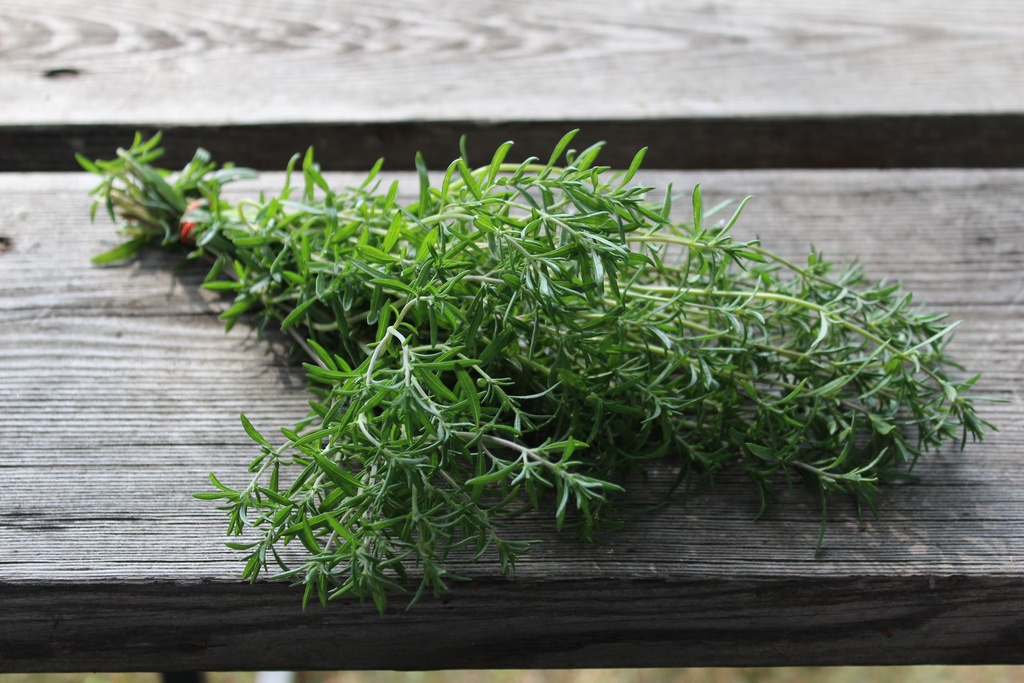 [KWNF-0017] Summer Savory