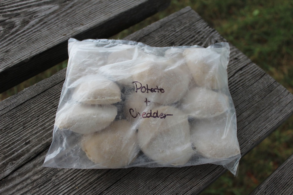[KWNF-0026] Cheese & Potato Perogies